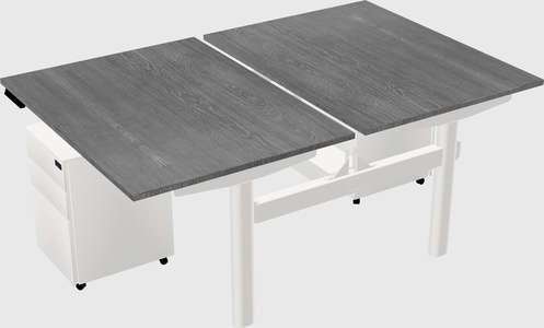 Shared electric desk