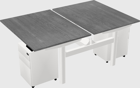 Shared electric desk