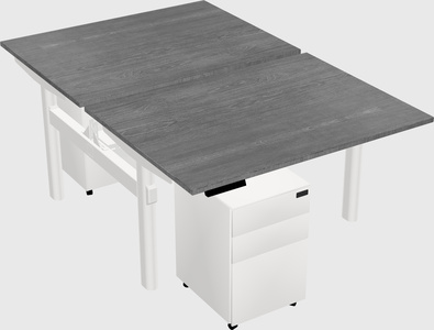 Shared electric desk