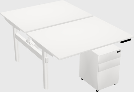 Shared Electric Desk
