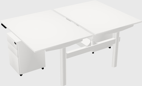 Shared electric desk