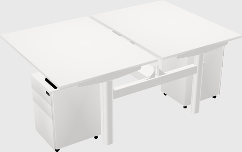 Shared electric desk