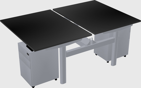 Shared electric desk