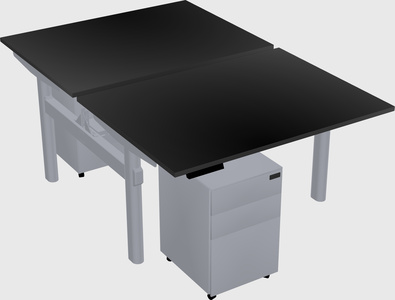 Shared electric desk