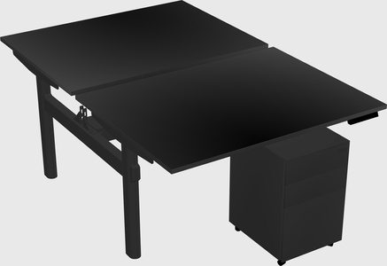 Shared electric desk