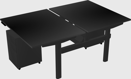 Shared electric desk