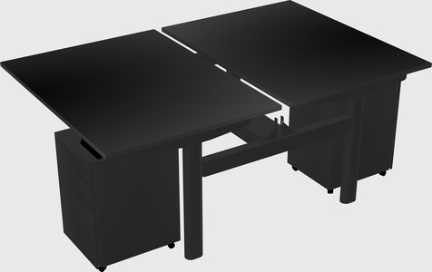 Shared electric desk