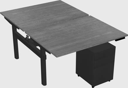 Shared electric desk