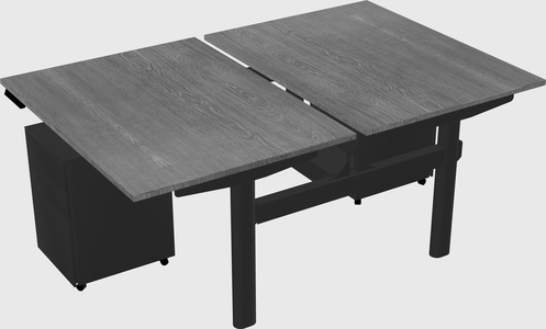 Shared electric desk