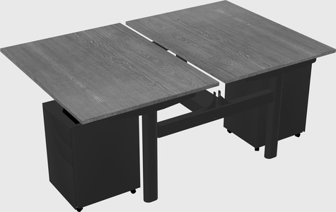 Shared electric desk