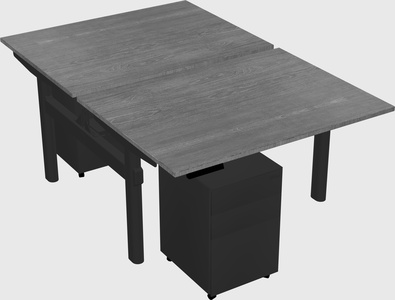 Shared electric desk