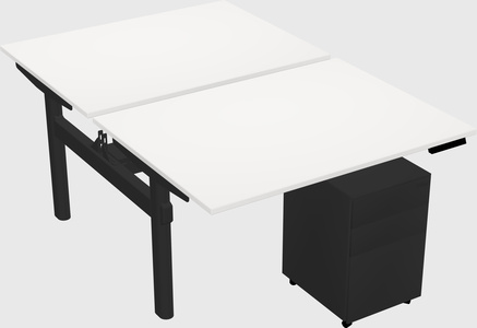 Shared electric desk