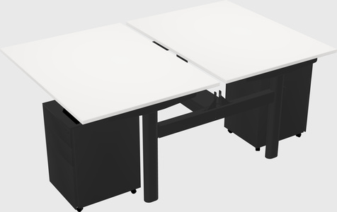 Shared electric desk