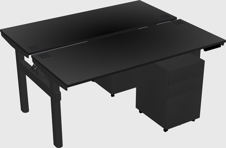 Shared electric desk