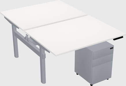 Shared electric desk