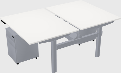 Shared electric desk