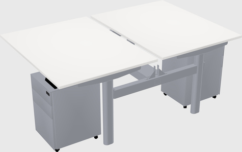 Shared electric desk