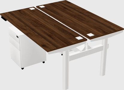 Shared electric desk