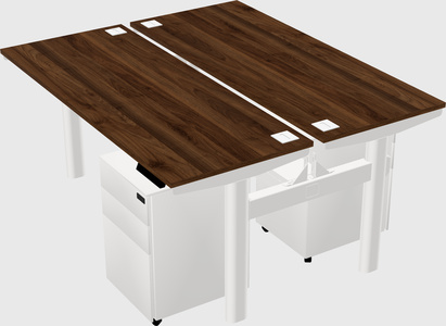 Shared electric desk