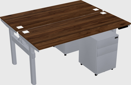 Shared electric desk