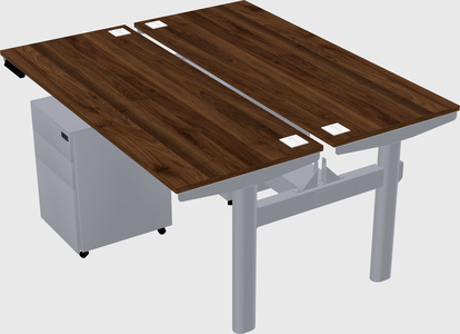 Shared electric desk