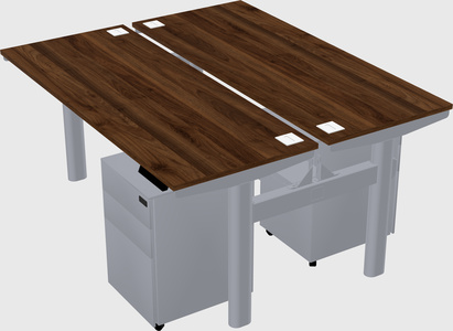 Shared electric desk