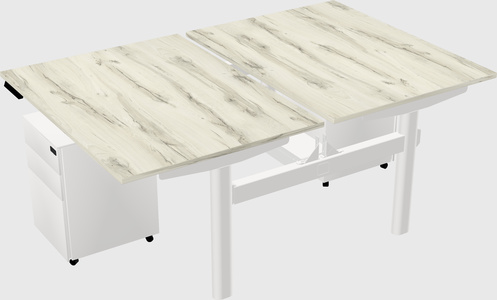 Shared electric desk
