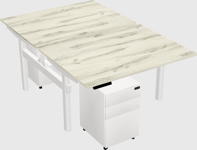 Shared electric desk