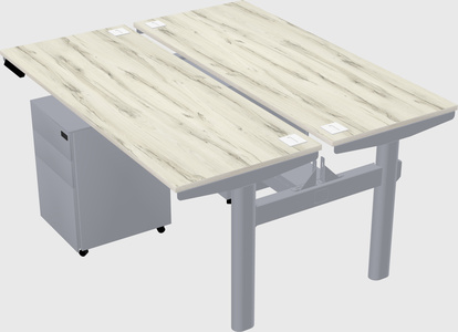 Shared electric desk