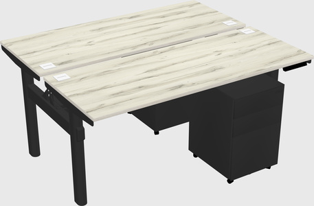 Shared electric desk