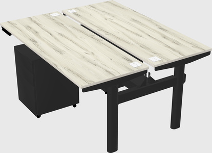 Shared electric desk