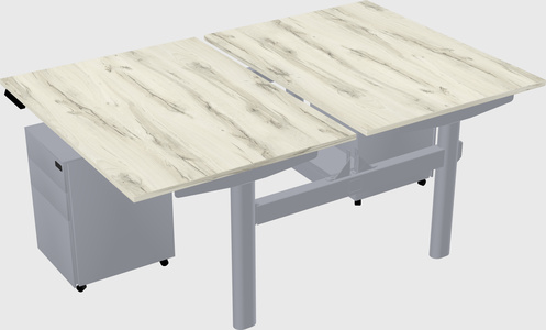 Shared electric desk