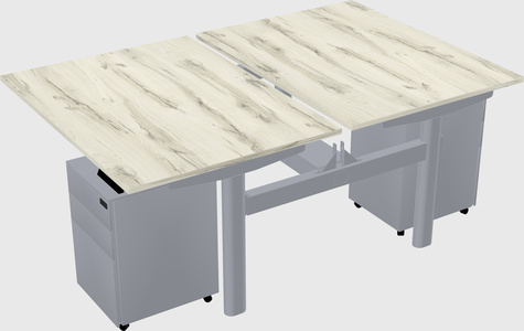 Shared electric desk