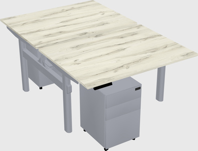 Shared electric desk
