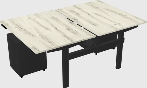Shared electric desk