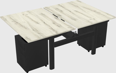 Shared electric desk