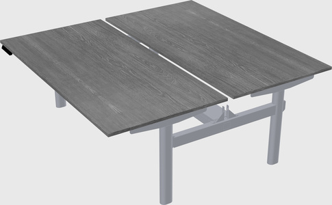 Shared electric desk