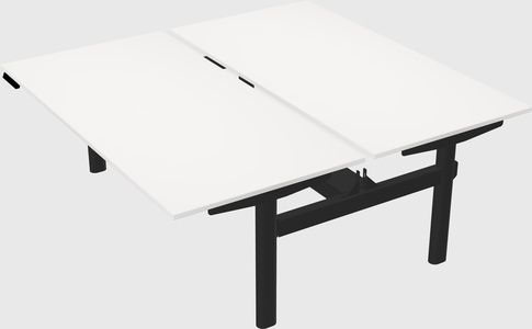 Shared electric desk