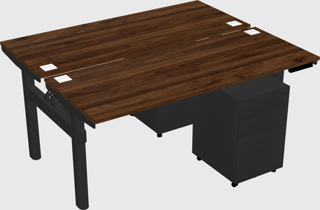 Shared electric desk