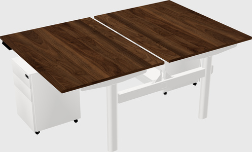 Shared electric desk