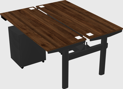 Shared electric desk