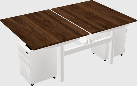 Shared electric desk