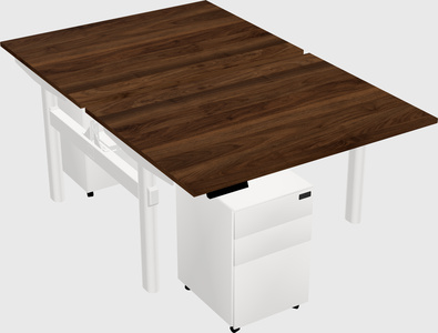 Shared electric desk