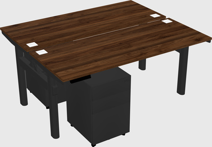 Shared electric desk