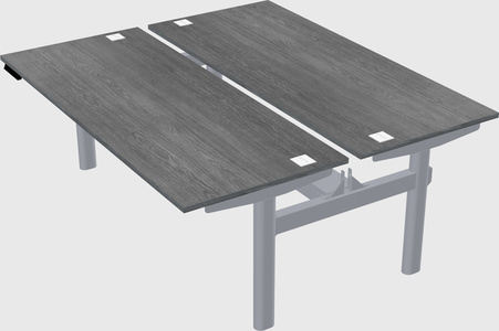 Shared electric desk
