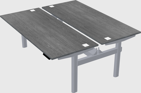 Shared electric desk