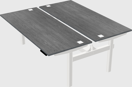 Shared electric desk