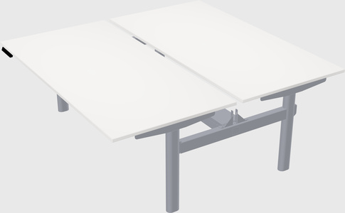 Shared electric desk