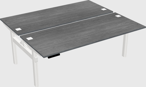 Shared electric desk