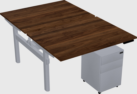 Shared electric desk